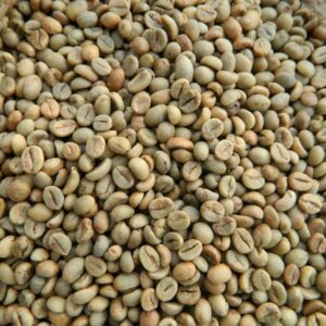 Robusta Green coffee bean